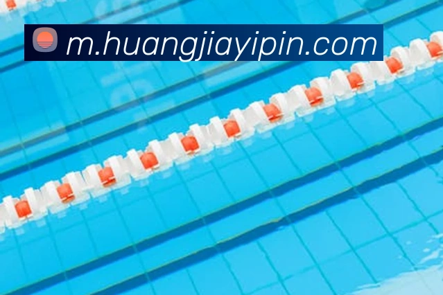 奖项证书